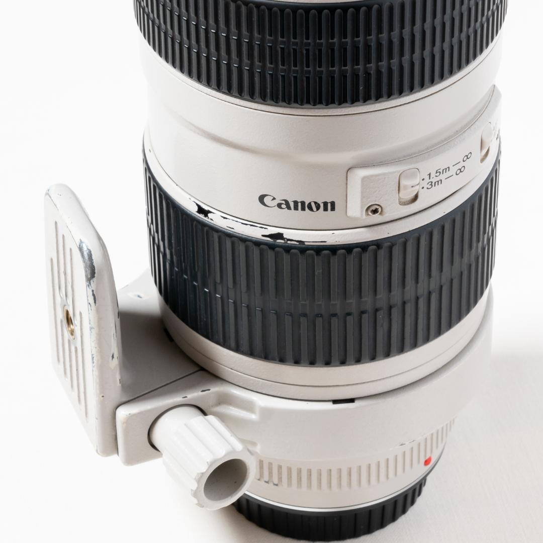 キヤノン Canon EF70-200mm F2.8L USM