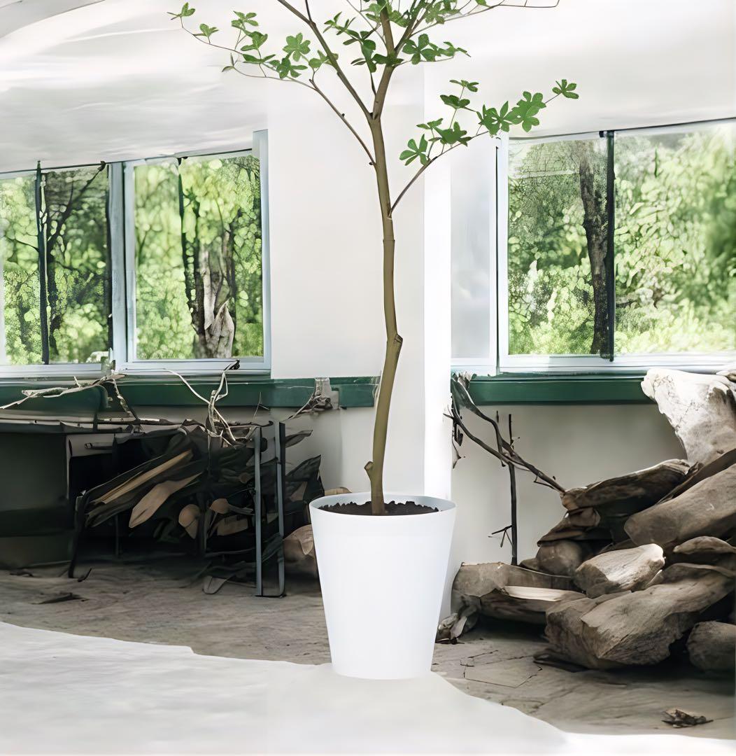 光触媒　人工観葉植物　ウ　フェイクグリーン　ドウダンツツジ200FST