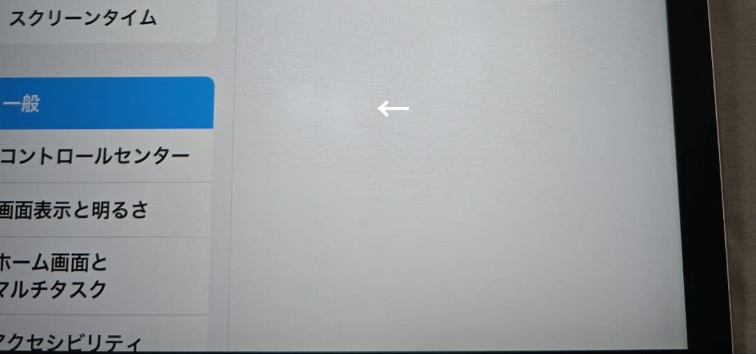 と*ん様 比較的美品■iPad Pro 12.9インチ■第1世代■バッテリー極良