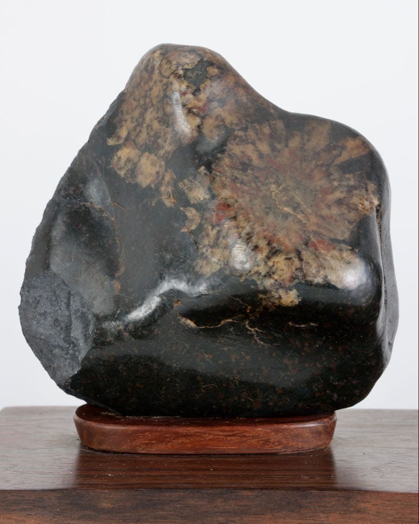 根尾川産 菊花石 二石組 台座 共箱付 鑑賞石 原石 天然石 盆石 飾石 美術品