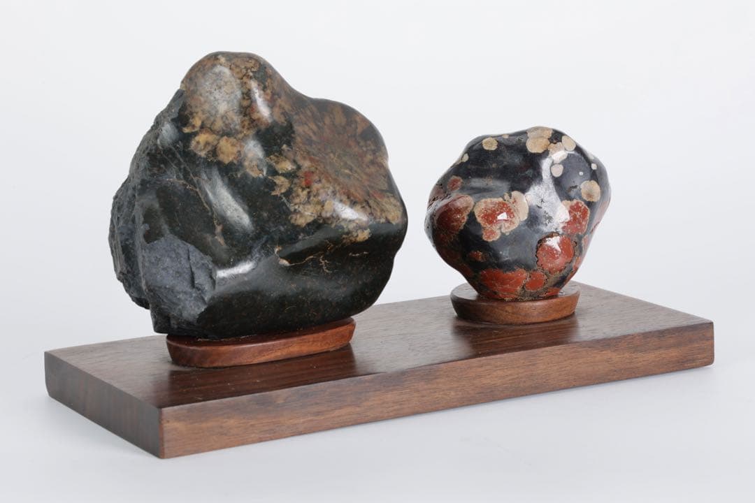 根尾川産 菊花石 二石組 台座 共箱付 鑑賞石 原石 天然石 盆石 飾石 美術品