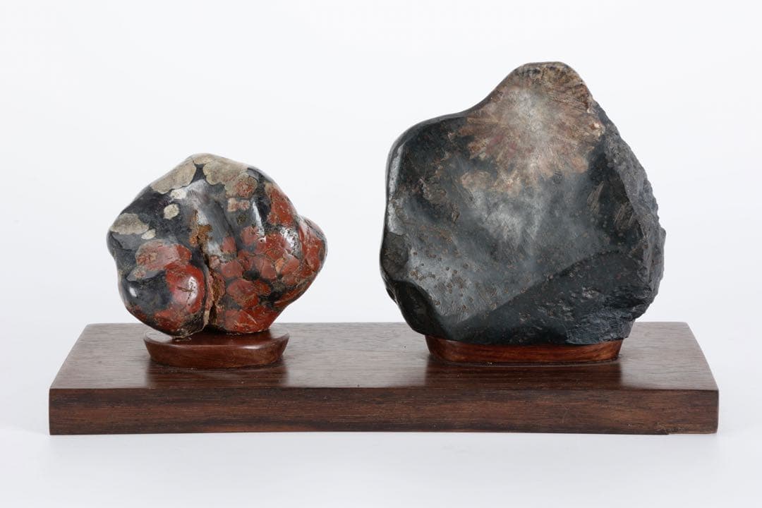 根尾川産 菊花石 二石組 台座 共箱付 鑑賞石 原石 天然石 盆石 飾石 美術品