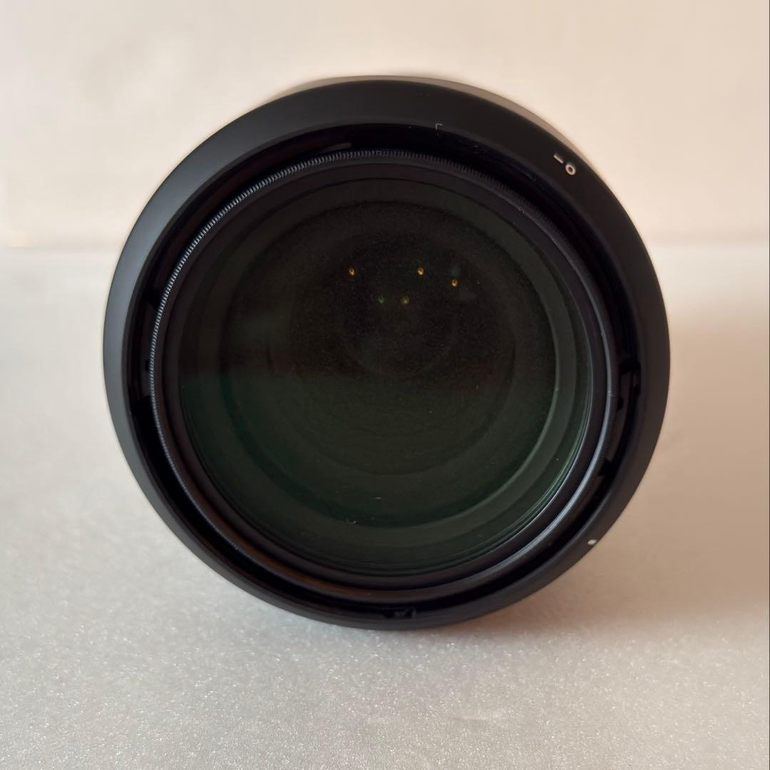 タムロン 18-300mm F/3.5-6.3 Di III-A VC VXD