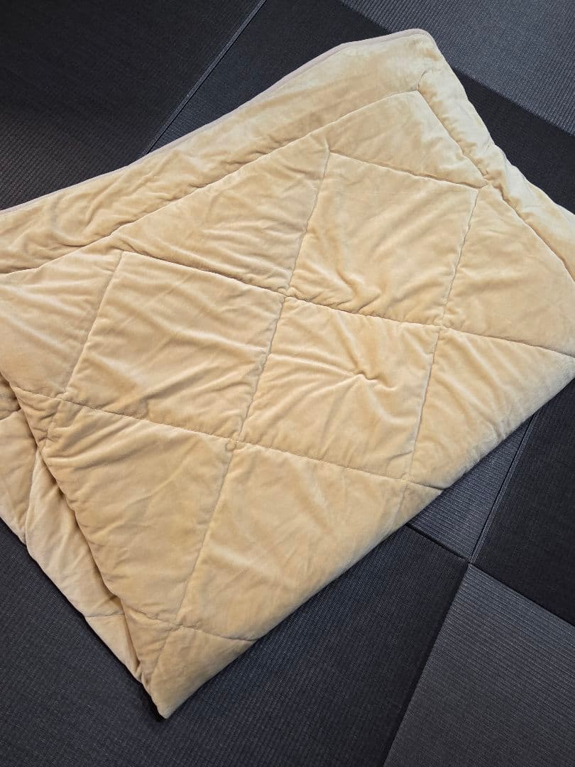 プラチナウエーブ　シングルサイズ 掛け布団 ベージュ