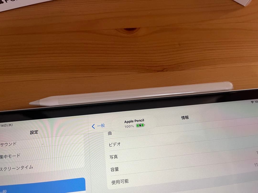 アップル ペンシル Apple Pencil 第2世代 第二世代