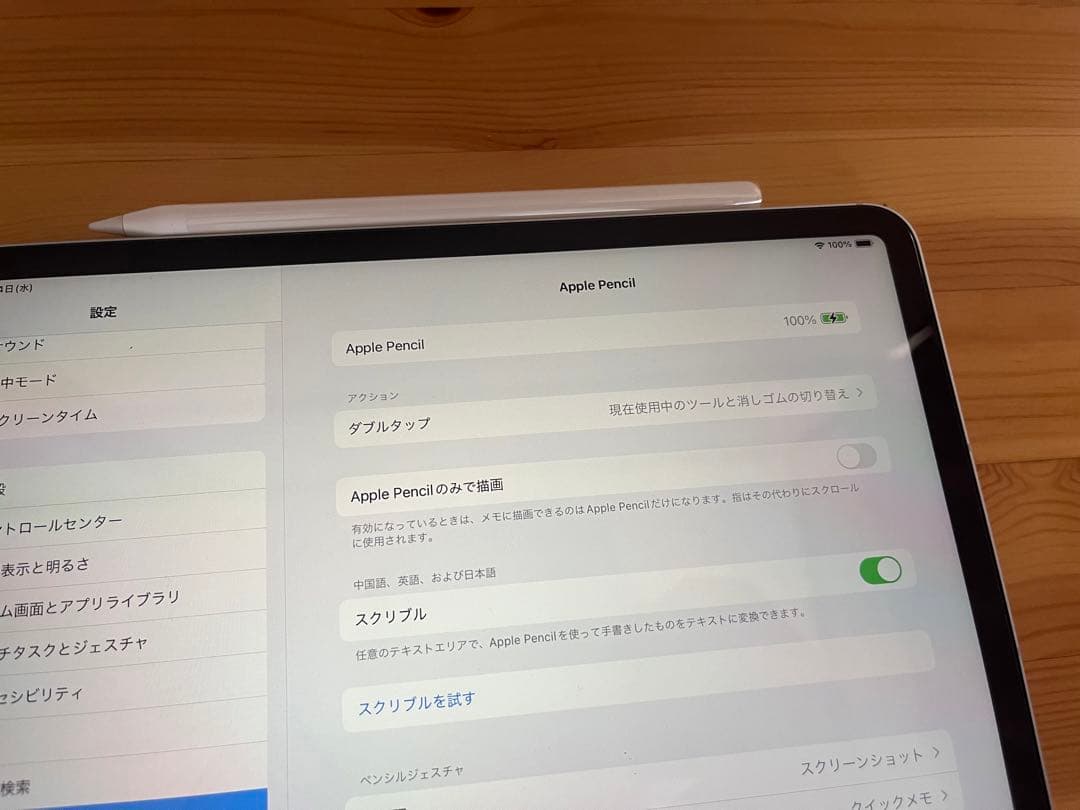 アップル ペンシル Apple Pencil 第2世代 第二世代