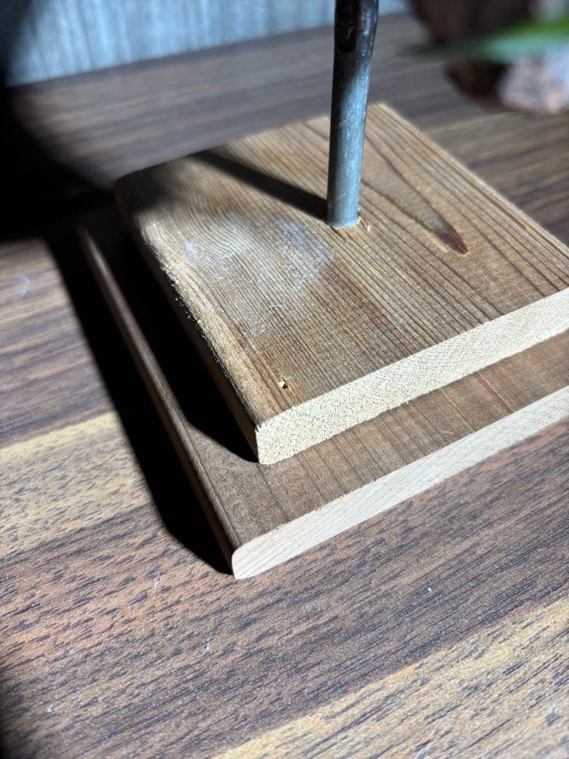 エアープランツ流木インテリア