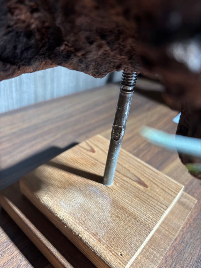 エアープランツ流木インテリア