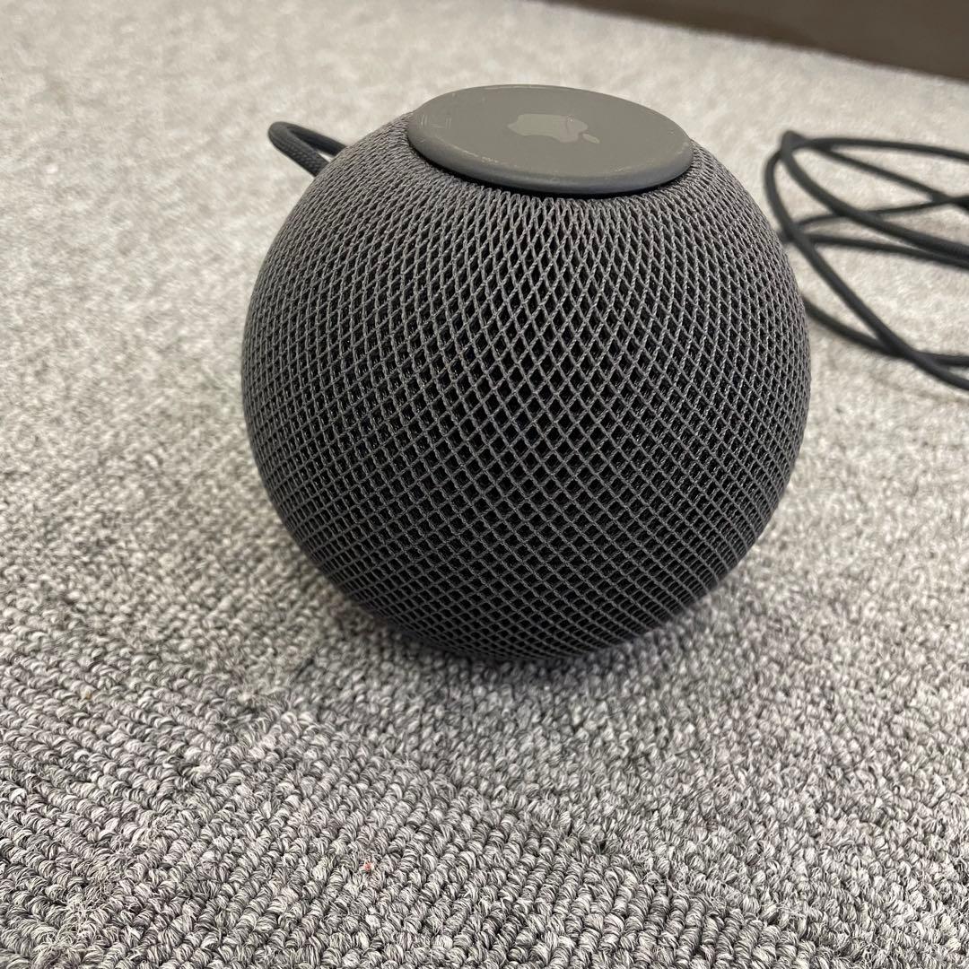  pod mini Apple タイプC電源　スマートスピーカー