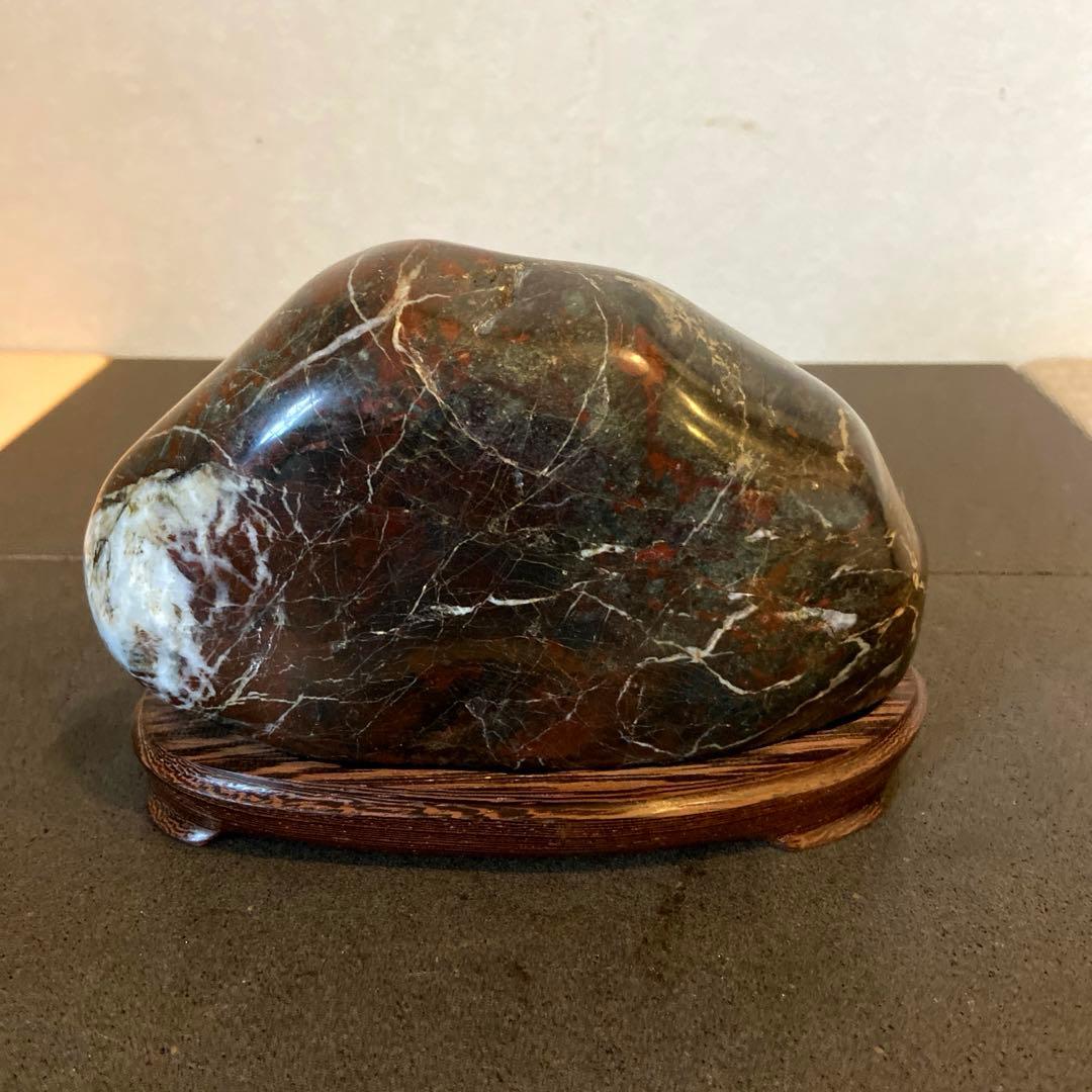 菊花石　★ 鑑賞石　菊花石　水石