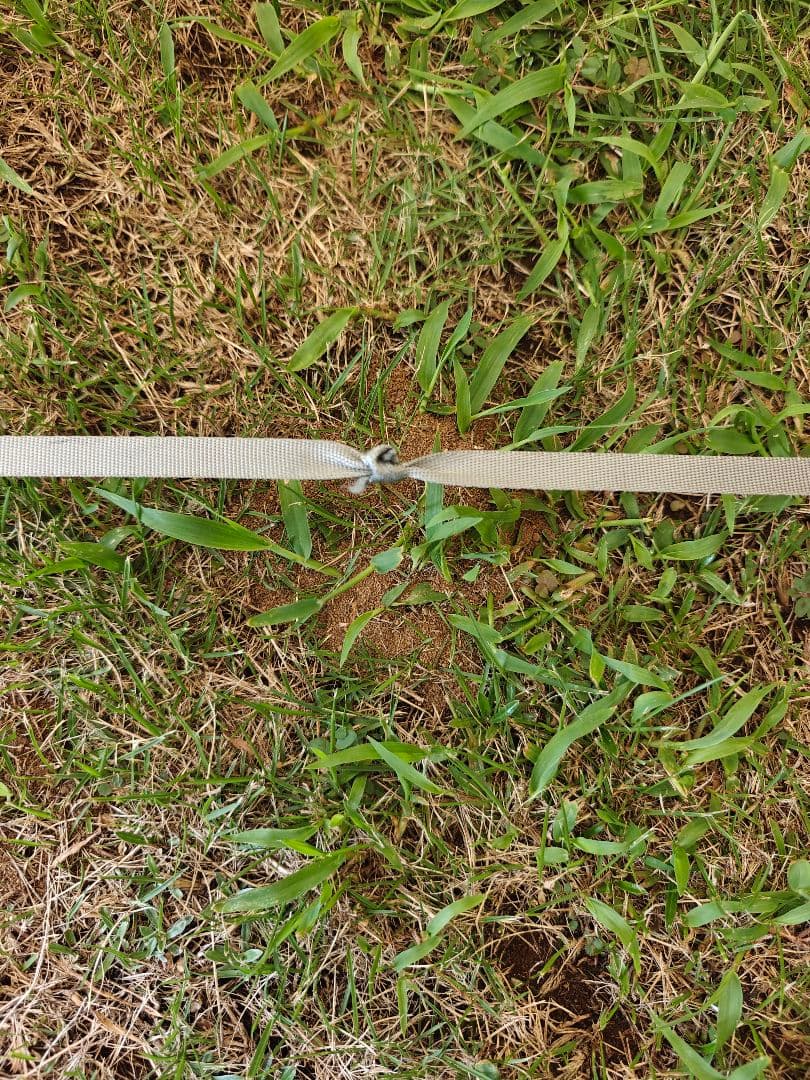 テント・タープ POMOLY Dune Solo