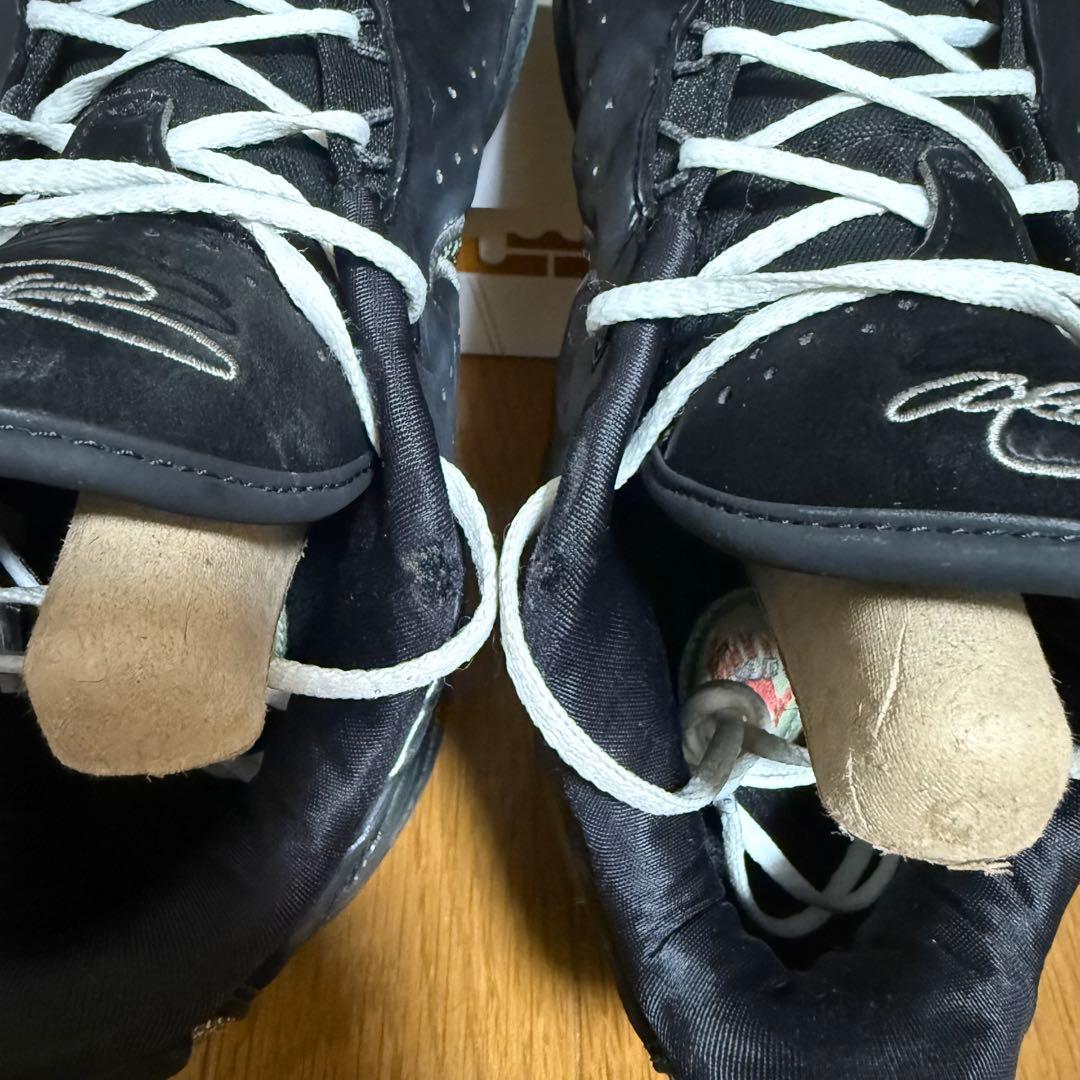 NIKE レブロン21 Tahitian 27.0cm バッシュ