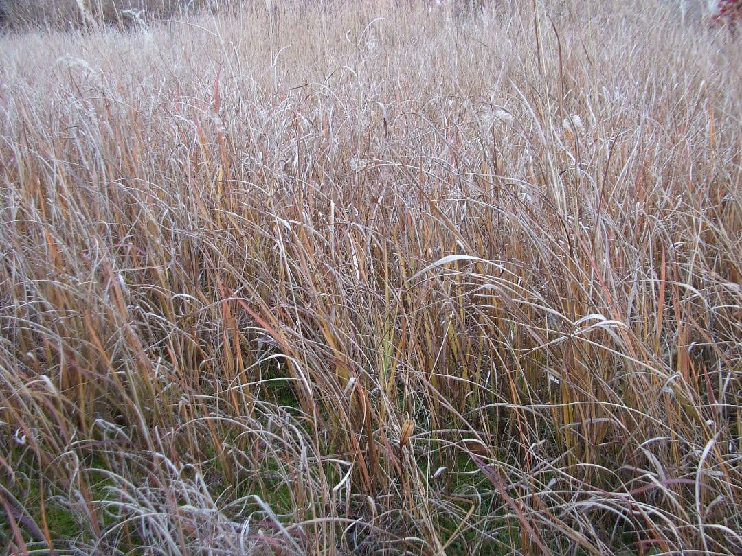 美品　FUJIFILM Finepix A610 デジタルカメラ 動作確認済み