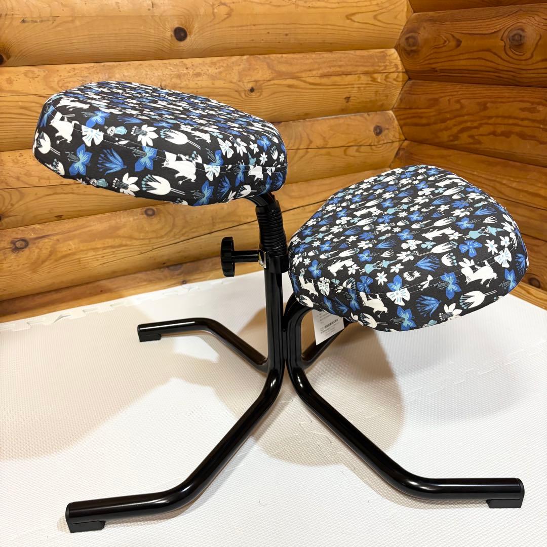 【美品】balans chair バランスチェア KOKUSHIN ６段階調整