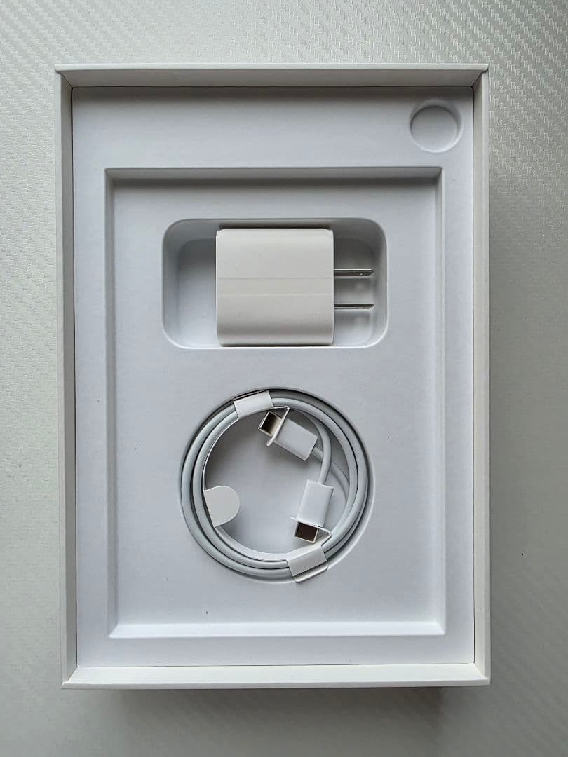 【最終価格】iPad mini 6 WiFi 256GB 最大容量100%