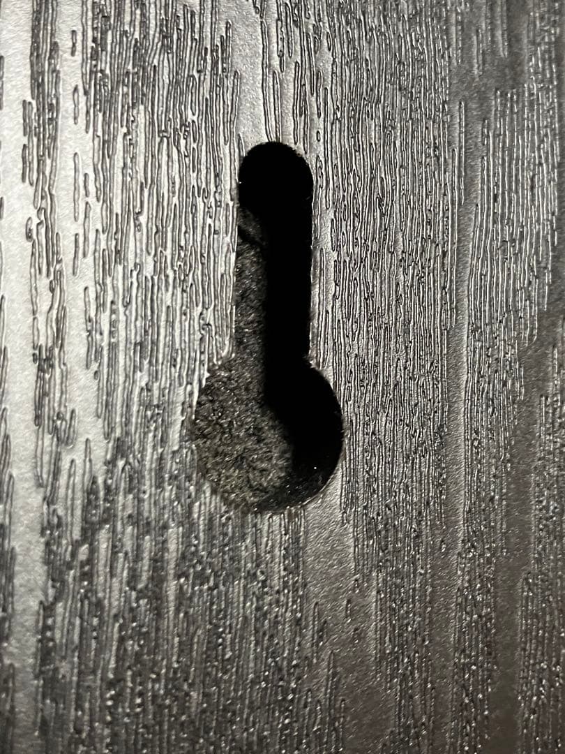 POLK AUDIO T15 ブックシェルフ・スピーカー（輸入品）