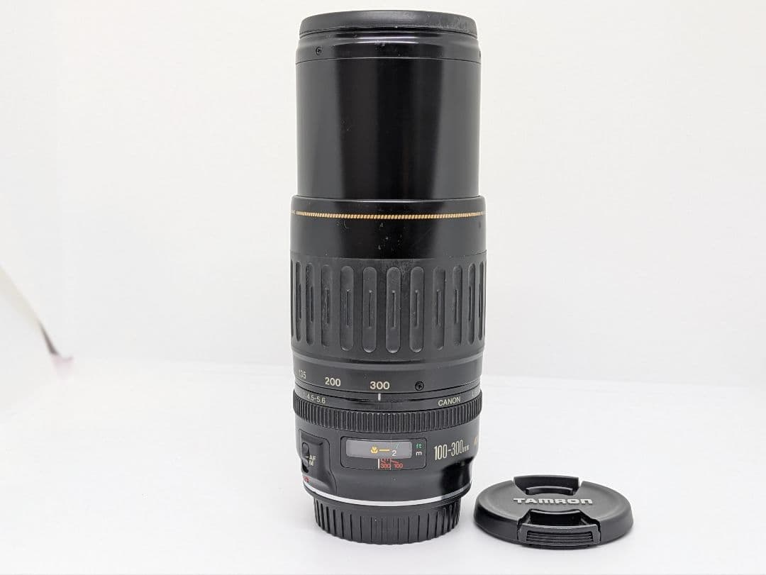 11月22日限定価格【超望遠レンズ】Canon EF 100-300mm USM