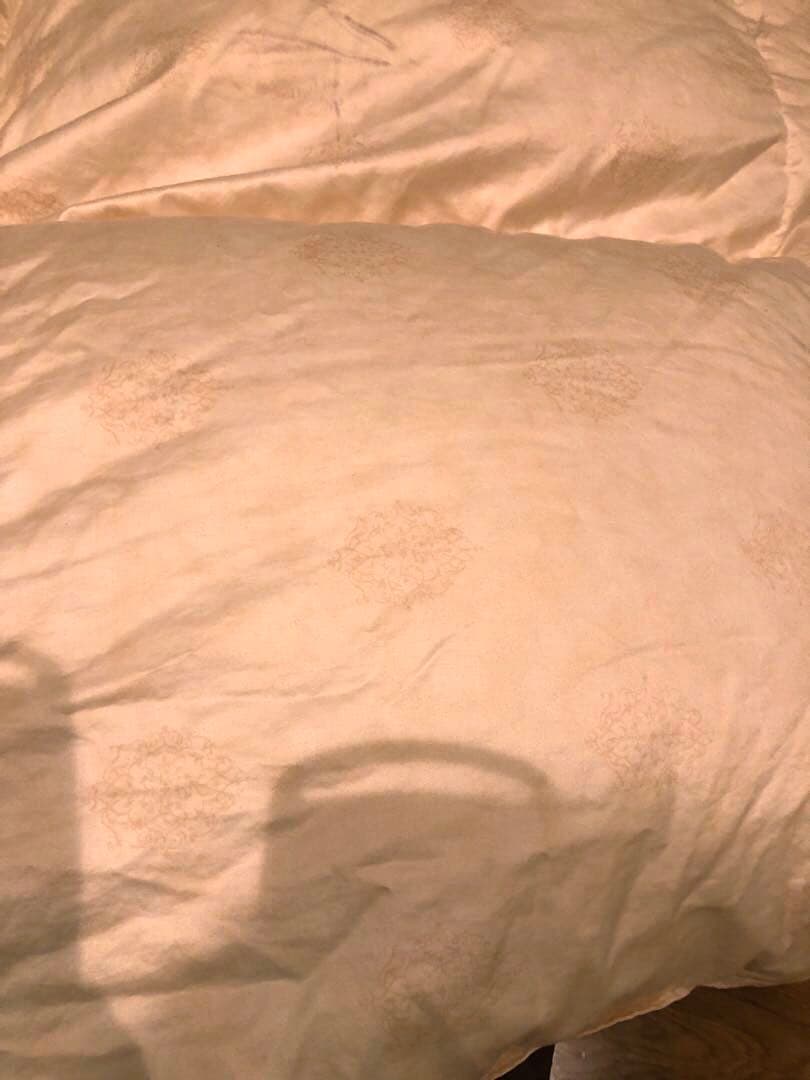 手摘み羽毛　ピルゼン産　グース95% シングル　1.0k 超長綿100％　軽量