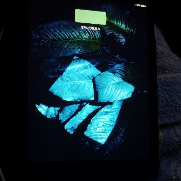 iPhone 充電器 不具合無し