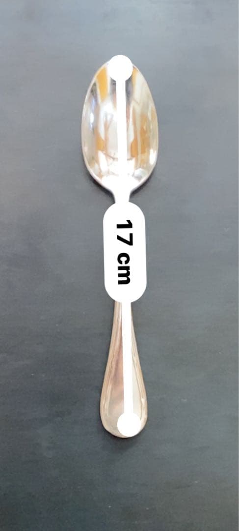 Christofle HOTELカトラリーセット 12点