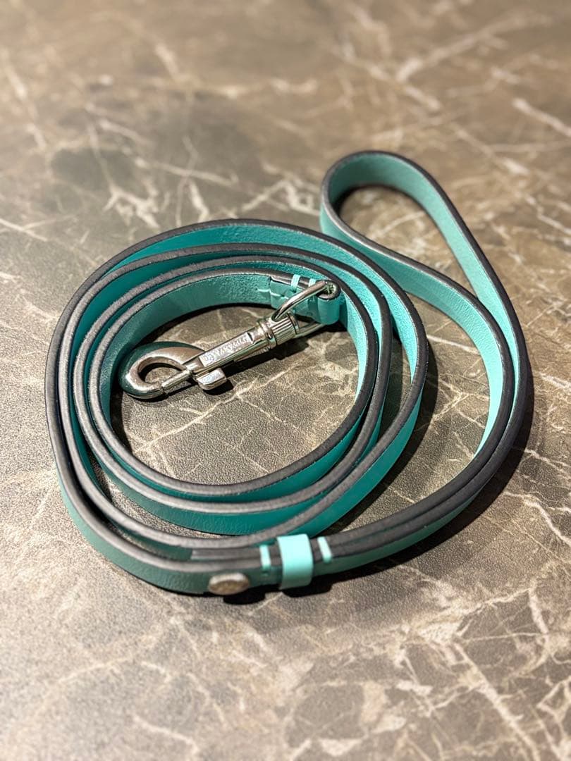 Tiffany & Co. ティファニー 首輪 カラー リード　セット　犬　XS