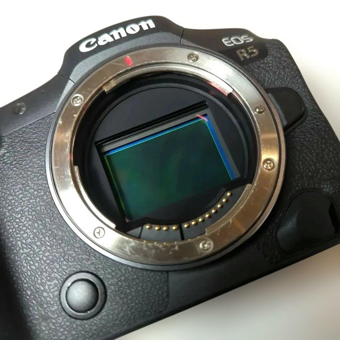美品♪　Canon EOS R5＋レンズRF50mm F1.8 STM