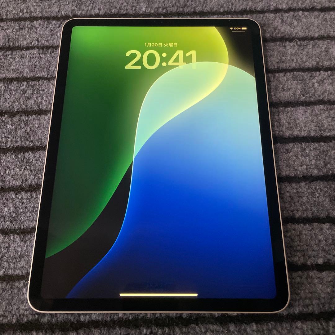 218 iPad Pro 11インチ　第1世代　64GB Wi-Fiモデル
