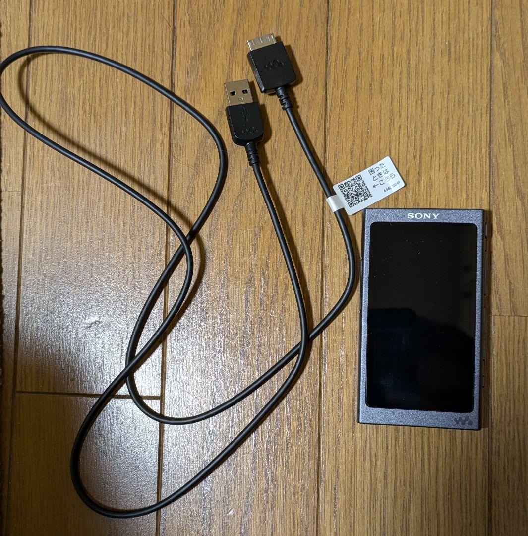 ソニー ウォークマン NW-A35 microSD 64GB付