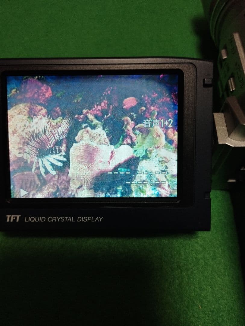 シャープ　MiniDV ビデオカメラ　 VL-AX1　動作良好　★録画再生◎