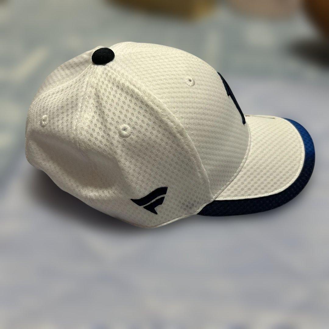 だーだ 源田壮亮直筆サイン帽子