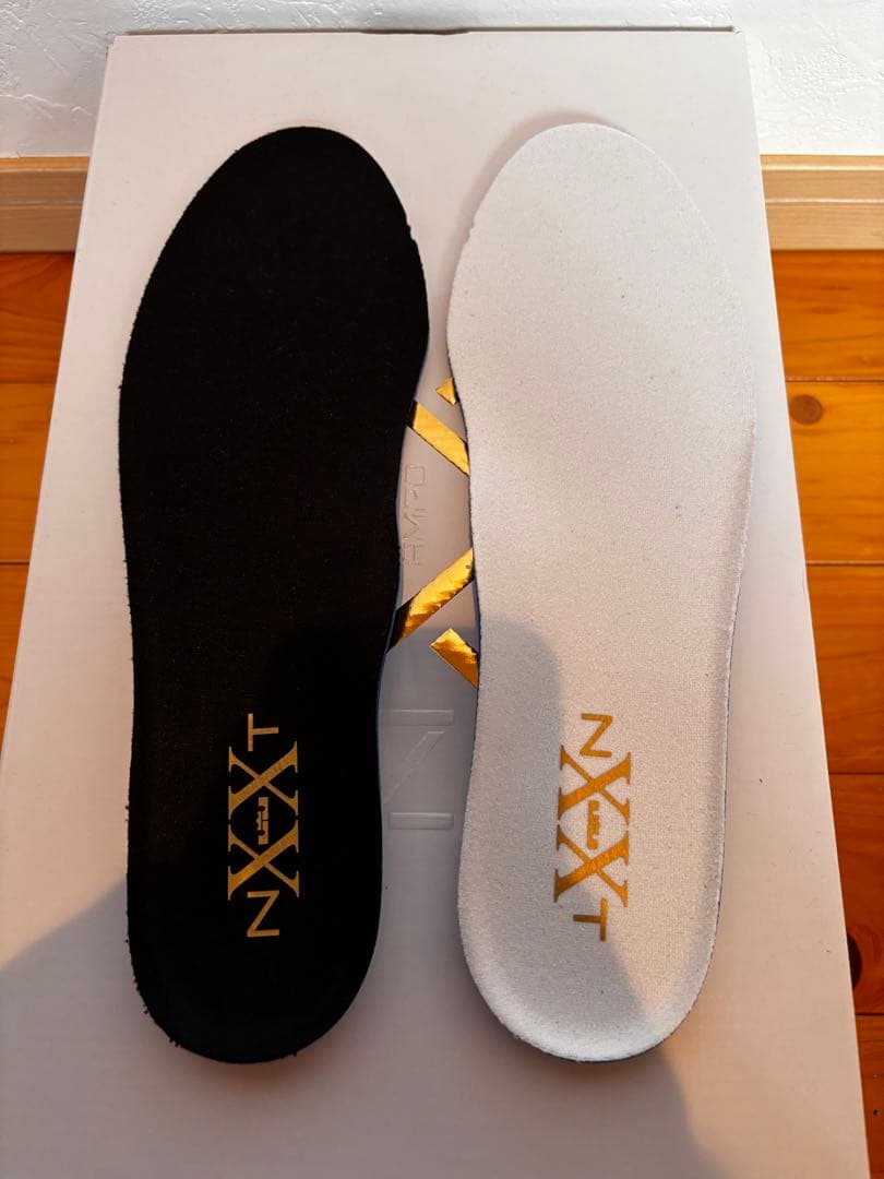 ナイキ レブロン NXXT ジェン AMPD エクイティ