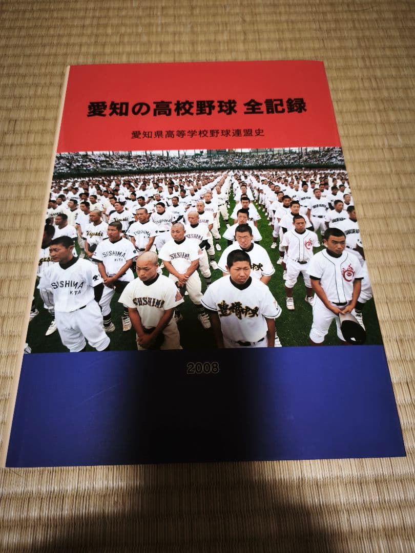 愛知の高校野球 全記録 2008