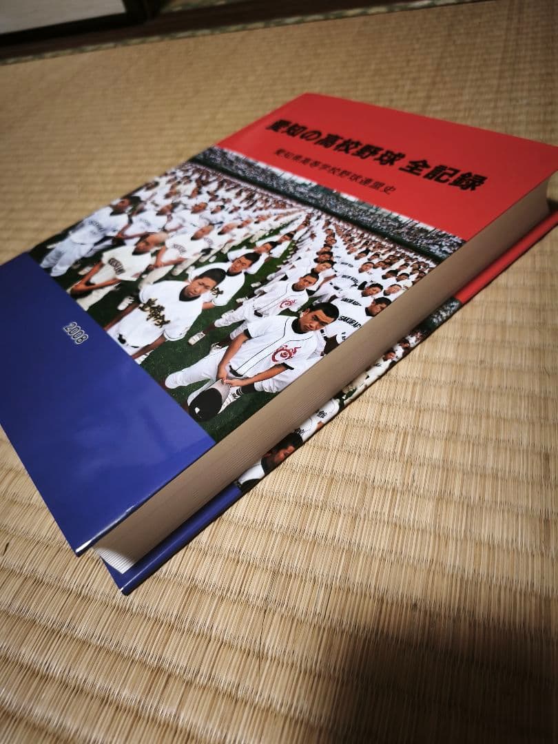 愛知の高校野球 全記録 2008