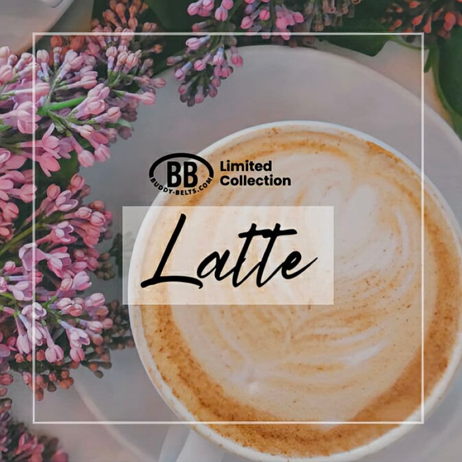 バディーベルト　ハーネス・カラー・リードの3点 バディベルト　BUDDYBELT