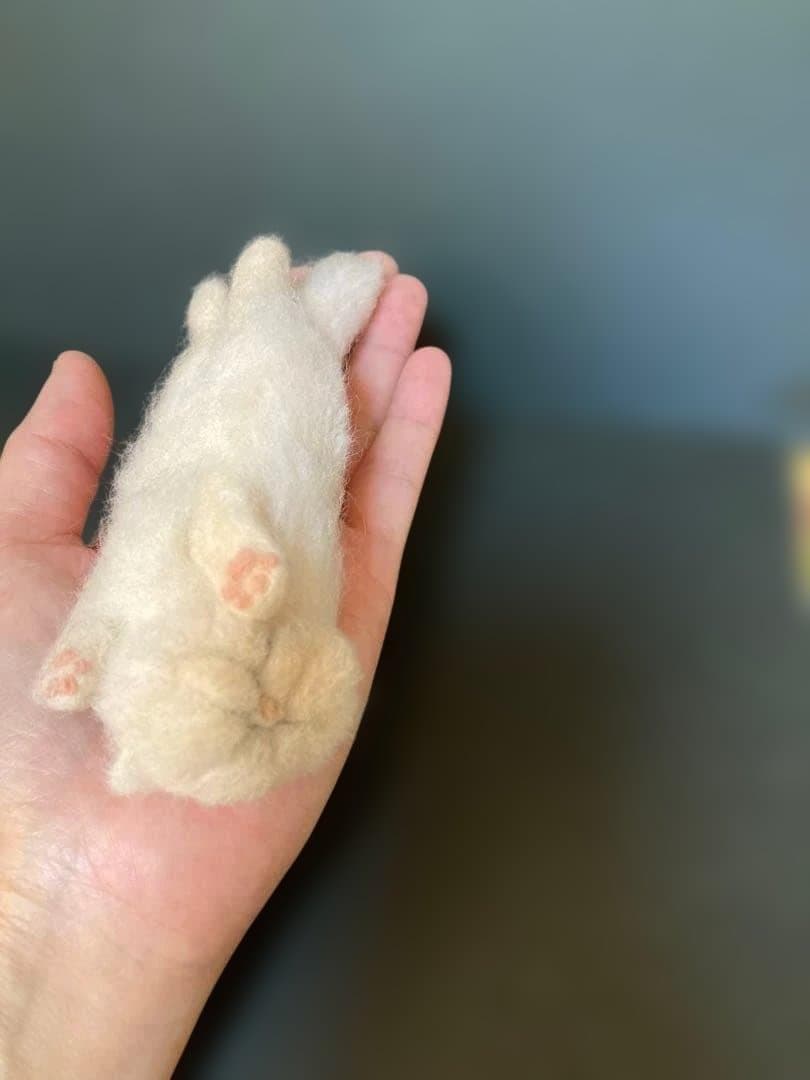 ELIZABETHさま　ご確認用