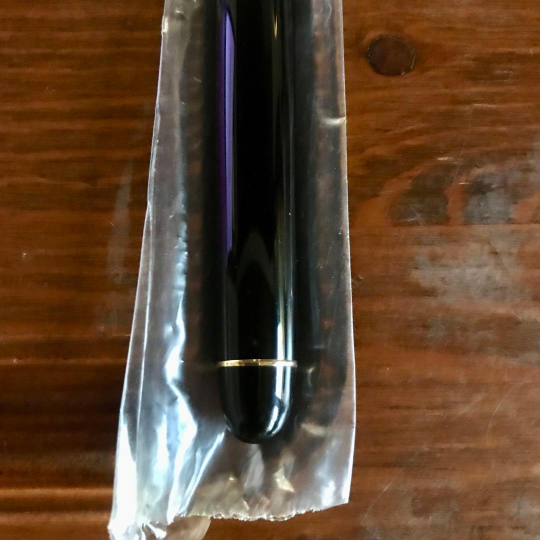 パイロットカスタム74 14K SM 新品 万年筆 PILOT CUSTOM