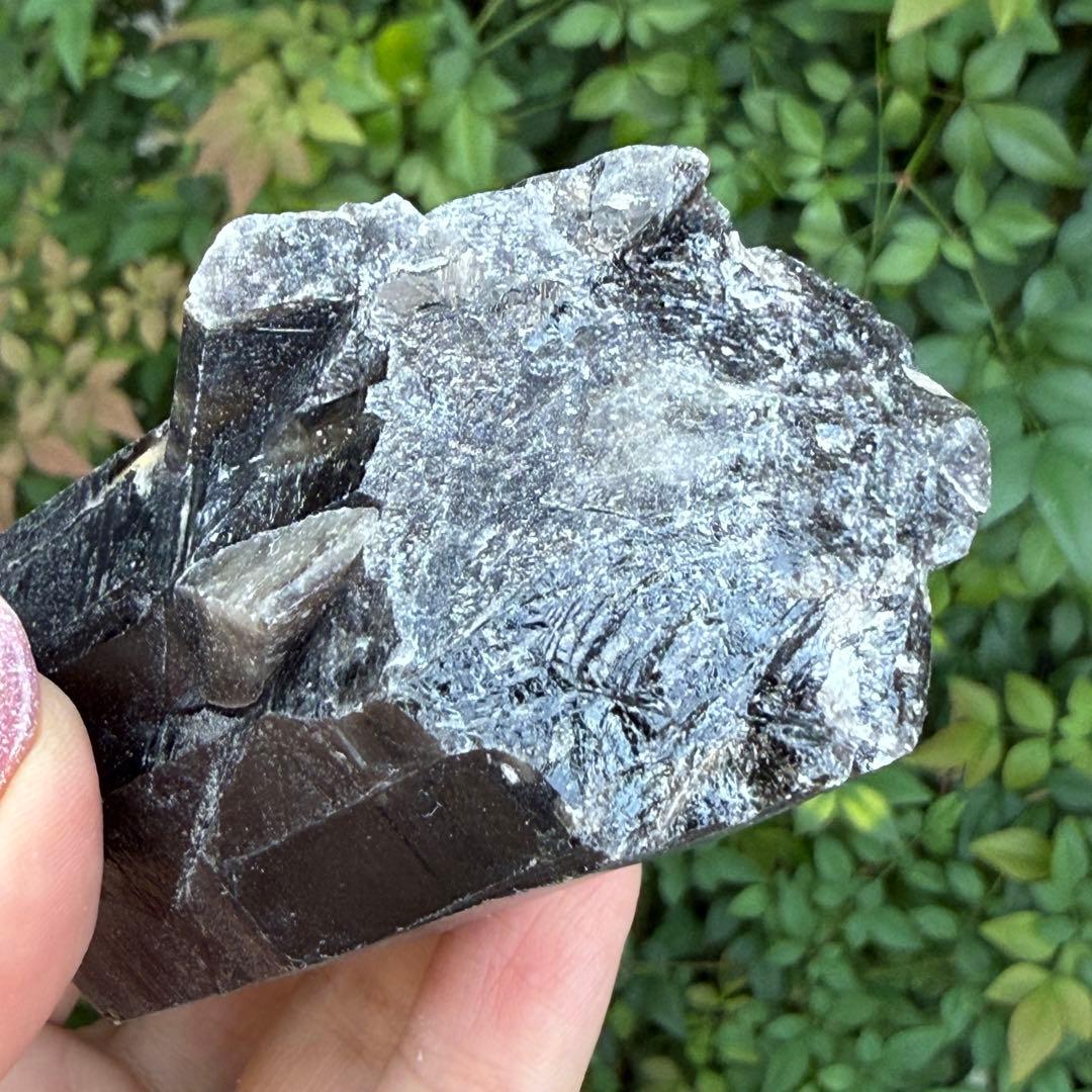 ムーミン 値下げ モリオン 黒水晶 天然無処理 原石 MY977