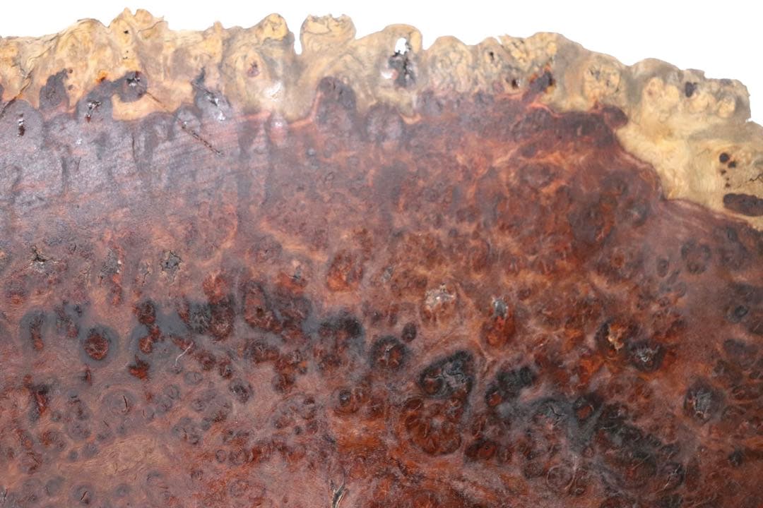 瘿木台 茶台　かりん　茶道具　送料込み250106