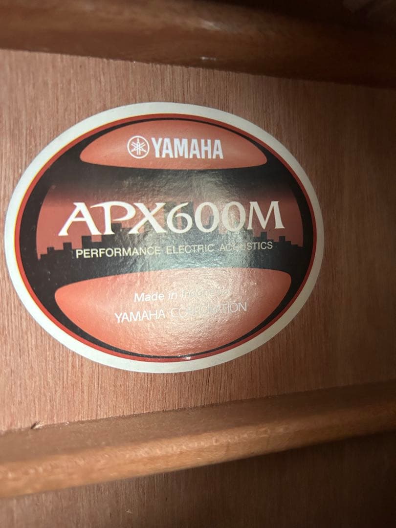 YAMAHA APX600M エレアコ
