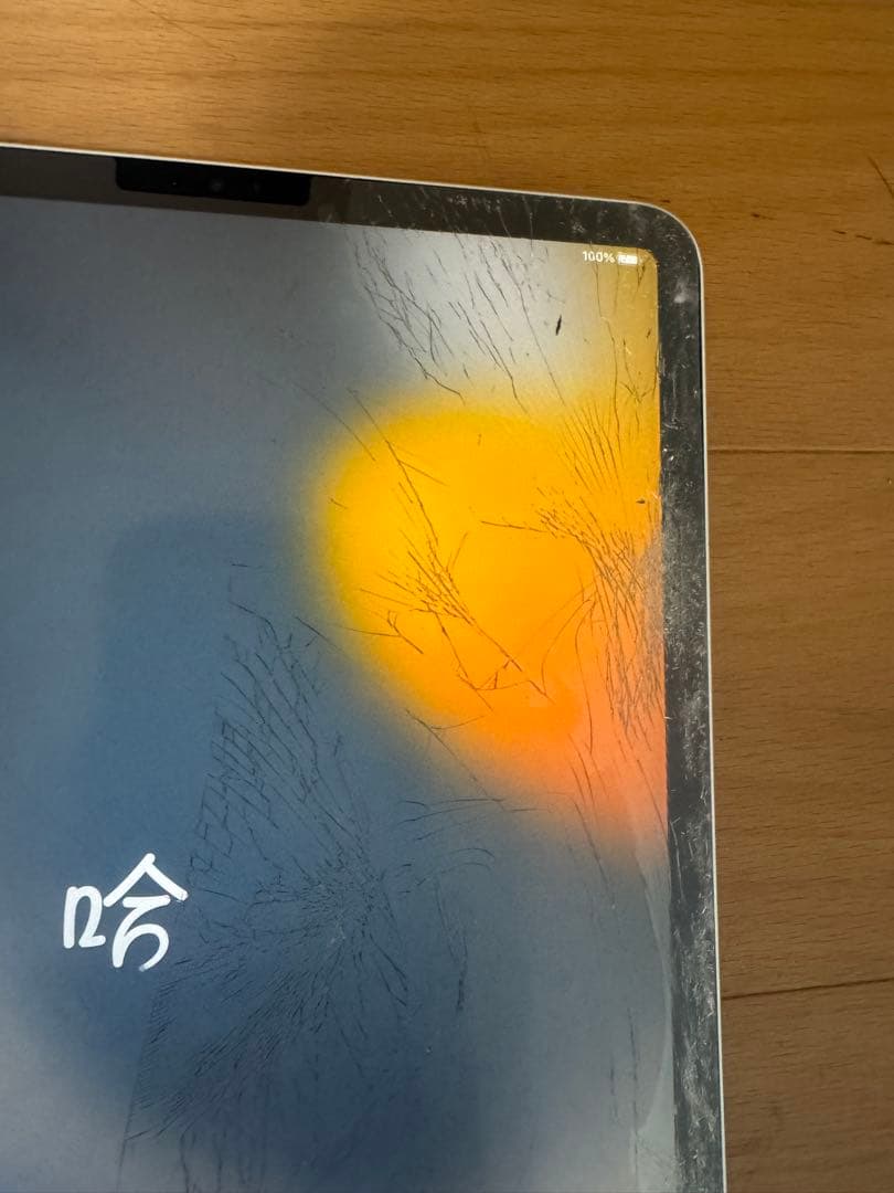 鴻*昇様 Apple アップル　iPad Pro 11インチ Wi-Fi A19