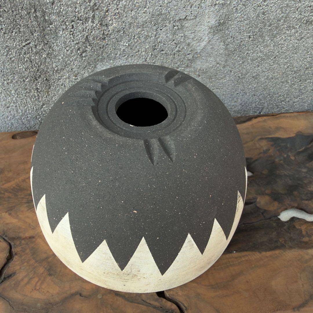 手作植木鉢 グラデーション植木鉢（ 塊根植物 グラキリス パキプス アガベ)