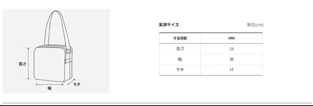 25AW新作【韓国限定】ノースフェイス ボニーホーボー バック 3way 人気色