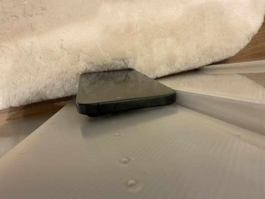 Apple iPhone 15 Pro max 本体