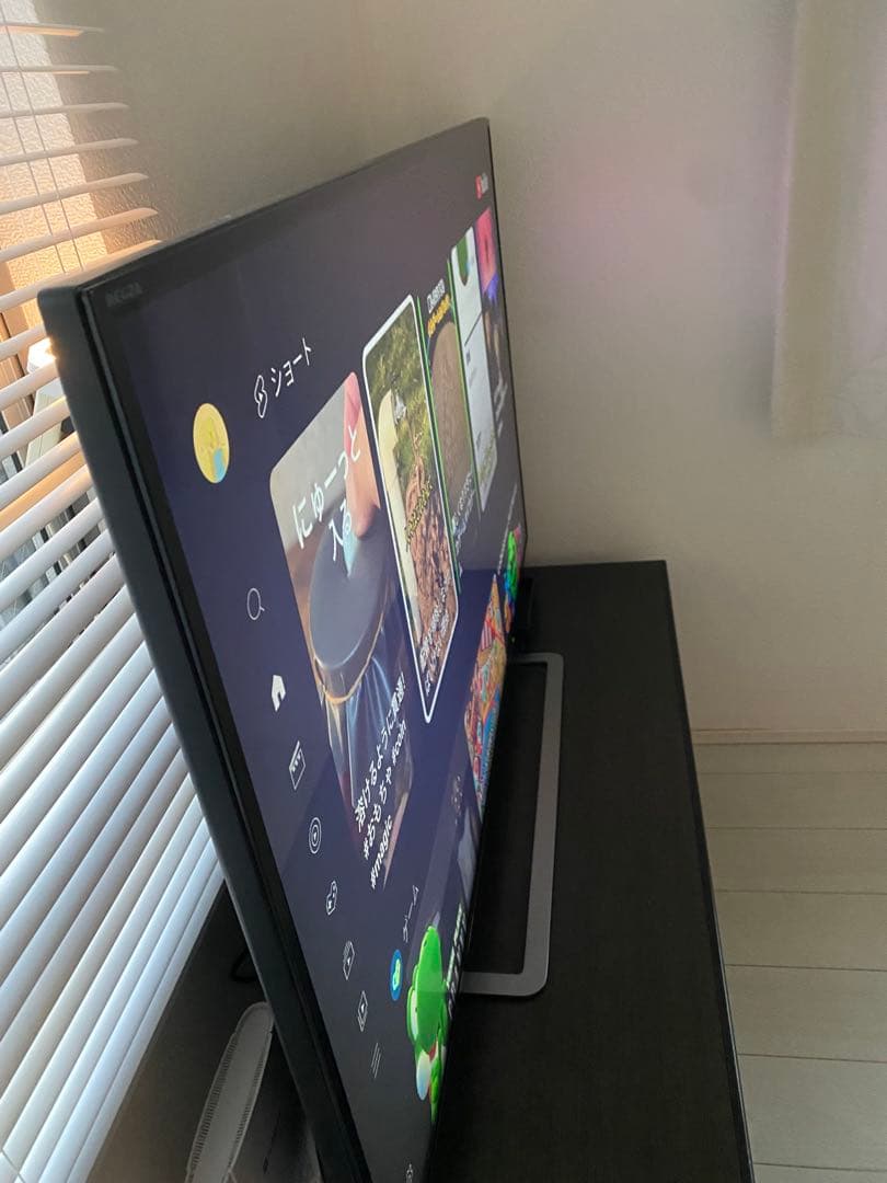 4K 東芝 TOSHIBA レグザ テレビ REGZA 55G20X　55