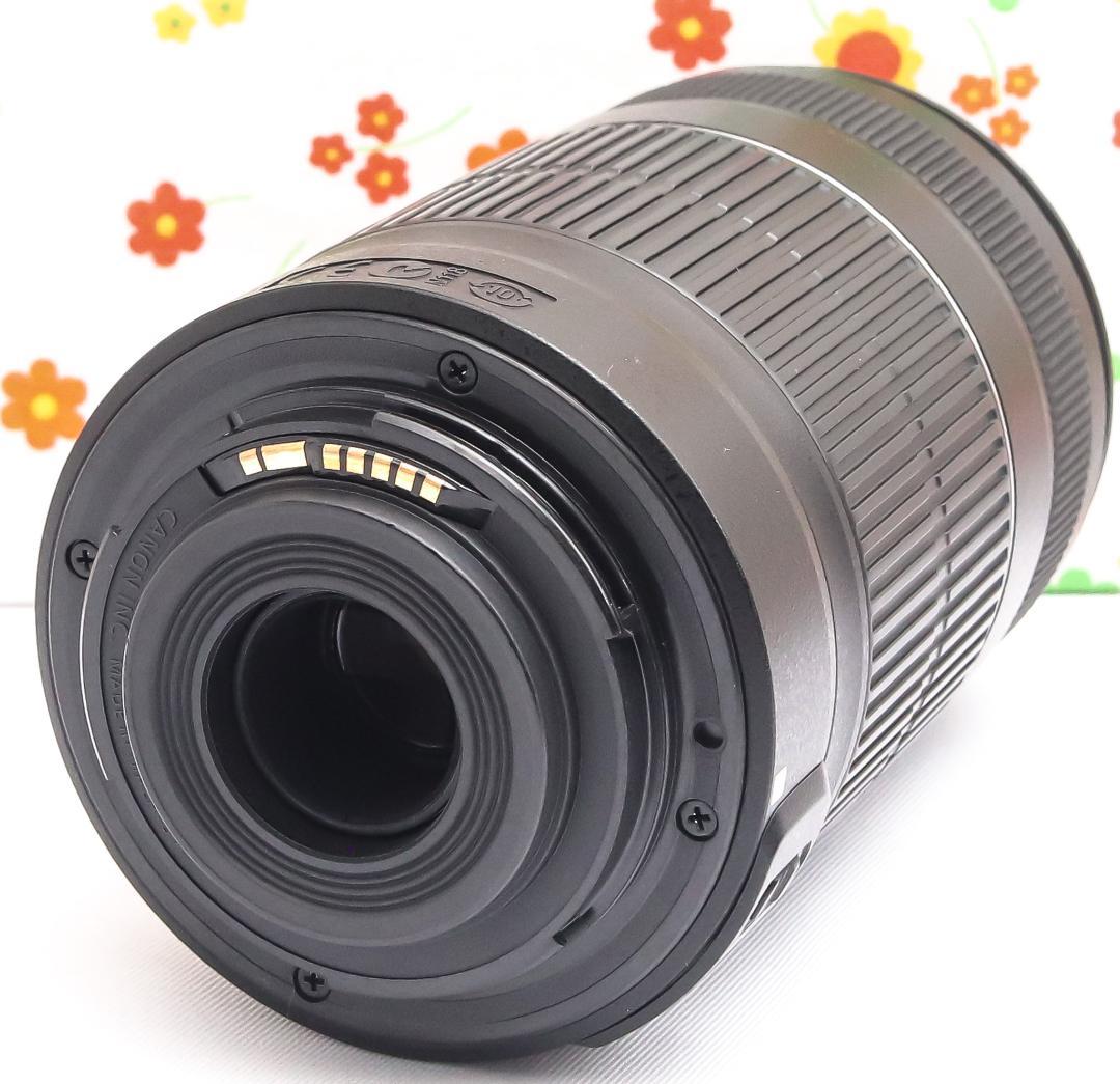 Canon EF-S 55-250mm IS II☆グッと引き寄せる望遠レンズ