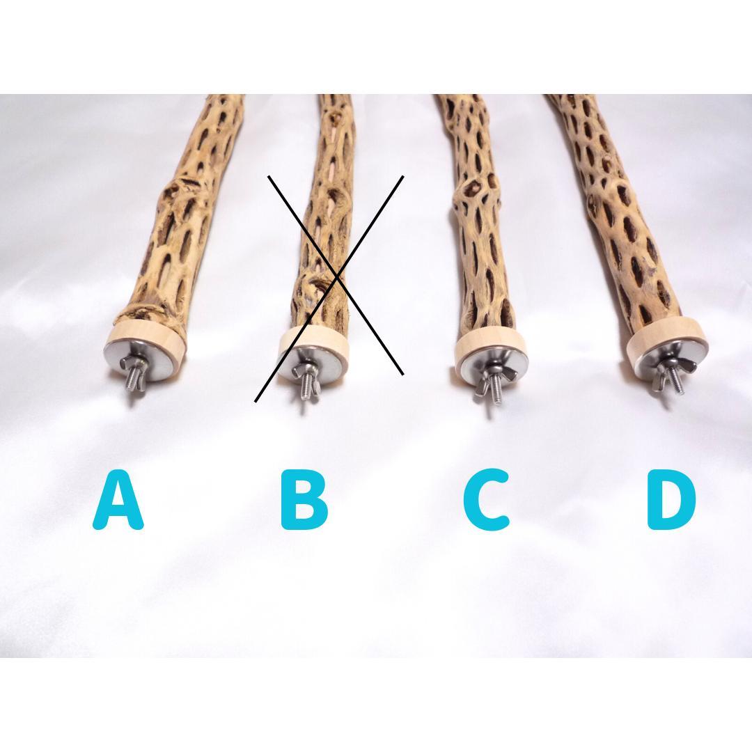 m　止まり木　カクタス　スケルトン　パーチおまとめ3本