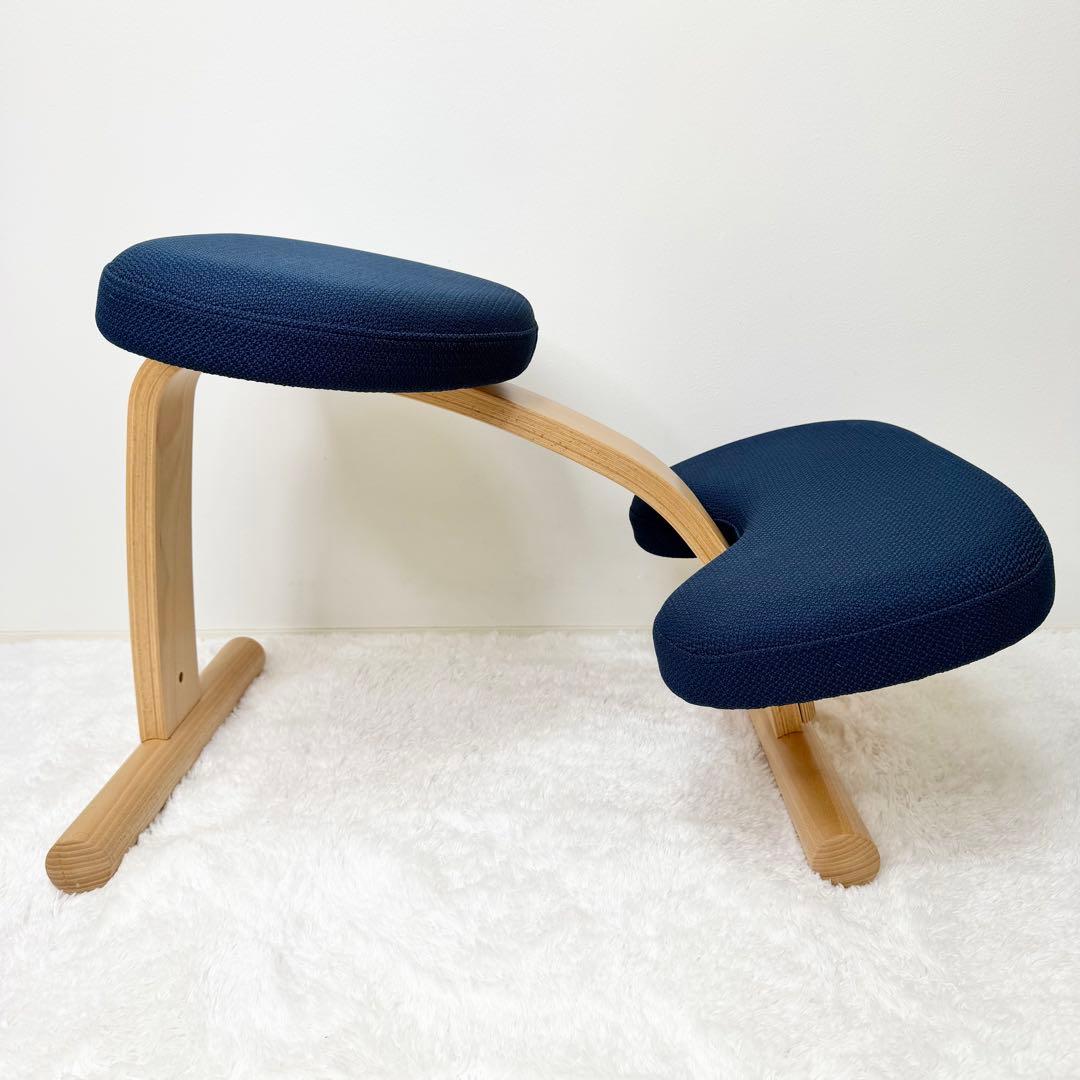 未使用級 balans lab バランスイージー ショートフレーム カバー付き