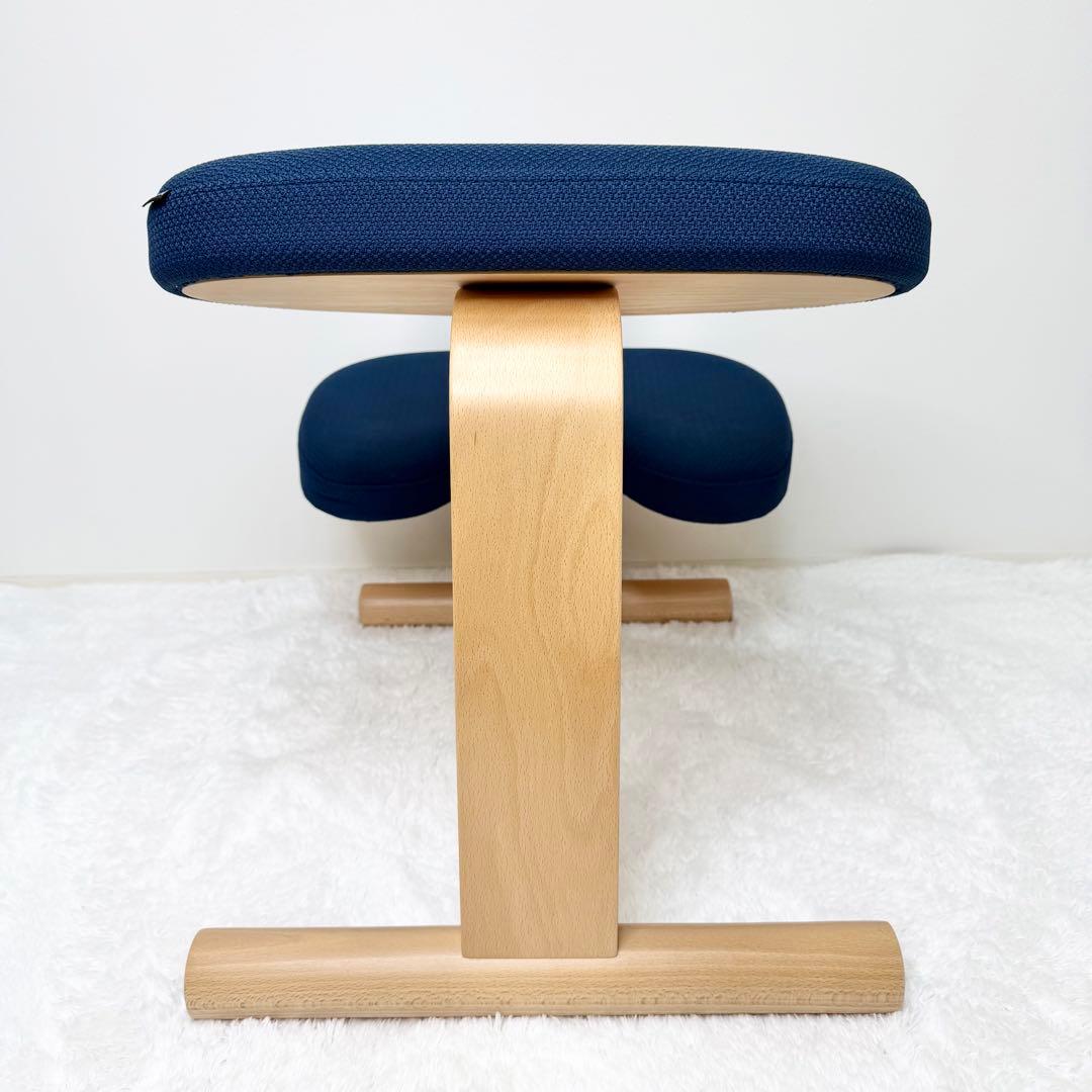 未使用級 balans lab バランスイージー ショートフレーム カバー付き