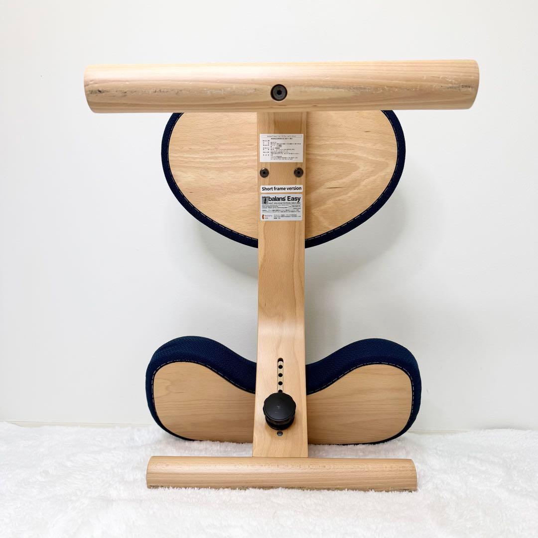 未使用級 balans lab バランスイージー ショートフレーム カバー付き