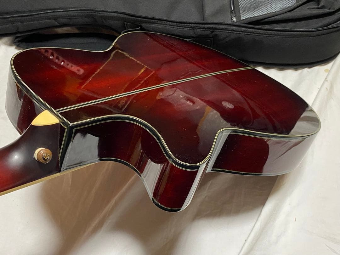 Ibanez エレアコギター　AEC24Ⅱ ソフトケース付美品1948-06-1